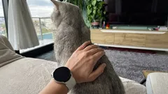 Proč se kočka otáčí zadkem k obličeji svého pána? Odborný pohled na chování