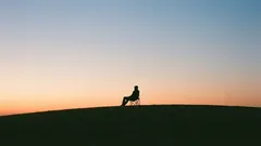 Proč vás tento koníček udělá šťastnými