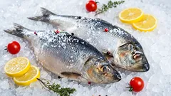 Díky metodě miniakvária zůstávají vaše ryby téměř stejně čerstvé jako v moři.