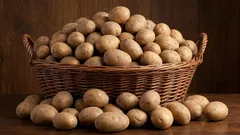 10 způsobů, jak skladovat brambory v bytě a domě, aniž by se zkazily