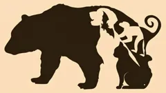 Tento test podle obrázku vám pomůže určit, které vaše vlastnosti převládají a co vám brání v komunikaci s ostatními.