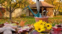 Příprava zahrady na zimu: co je třeba udělat